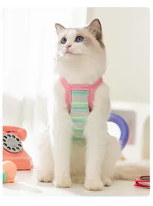 Cute striped cat harness pet clothes summer two-legged puppy apparel colorful design