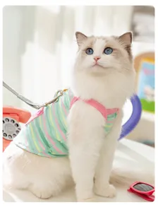 Summer colorful striped pet cat dog harness vest with cute pocket for small outdoor walking.