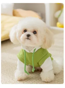 Close-up detail of a soft green and white pet hoodie sweatshirt worn by a cute small dog.