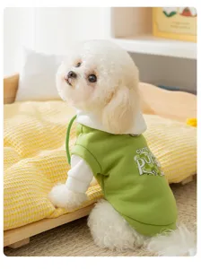 Detail shot of a cute puppy wearing a stylish green and white hooded pet sweater for cold days.