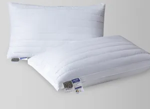 Comfortabel katoen boekweit kussenkern hotel stijl 48x74cm thuis slaapkamer beddengoed