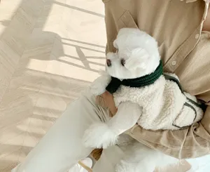 Cozy white sherpa fleece pet vest detail with green trim and matching scarf for small dogs cats.