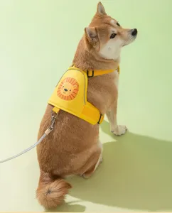 Pettorina e guinzaglio per cani con simpatico leone, gilet traspirante ideale per passeggiate sicure.