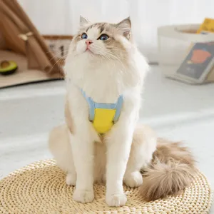 Gilet colorato per animali domestici primavera estate vestiti per gatti traspiranti