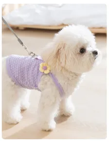 Hübsches lilafarbenes Blumen-Haustiergeschirr für kleine Hunde und Katzen im Sommer.