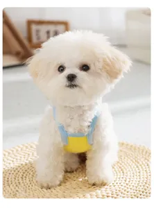 Gilet estivo carino traspirante colorato per cani domestici piccolo cucciolo vestiti