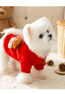 Close-up detail of cute pet dog wearing festive red knitted Christmas sweater with elk.