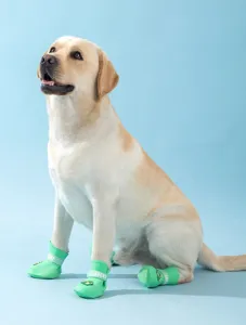 Vista dettagliata delle scarpe da pioggia per cani in silicone verde, stivali impermeabili.
