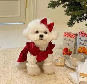 Christmas red velvet princess dress for small dogs and cats, cute pet clothes for winter.
