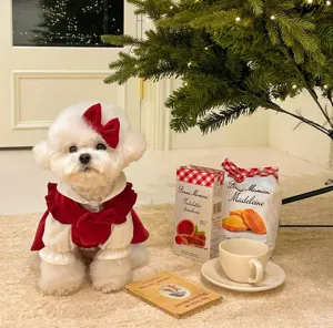 Cute Christmas dog princess dress, red and white velvet pet apparel for small dogs and cats.