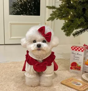 Cute Christmas pet dress for small dogs and cats, cozy red velvet design with lovely bow.