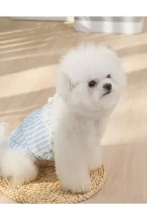 Leuke zomer gestreepte kant hond jurk zoete prinses huisdier kleding voor kleine honden