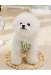Schattige zomerjurk met bandjes voor honden, groene strepen, witte pompons en zachte stof.