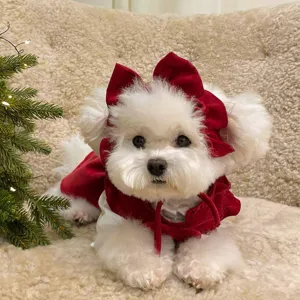 Cute Christmas princess dress for small dogs and cats, autumn winter pet clothes