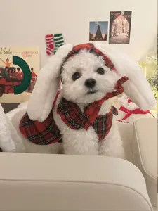 Süße Weihnachts Haustier Hund Katze Kleidung Set mit rotem Karokleid und weißen Hasenohren Mütze.