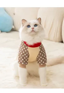 Details des niedlichen Katzen-Winter-Polka-Dot-Vier-Bein-Haustier-Pullovers, warme Kleidung.