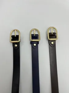 Cintura donna casual in ecopelle con fibbia dorata, elegante cinturino di vita per uso quotidiano.