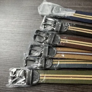 Detailed view of women's multi-color striped canvas belts featuring classic pin buckles.