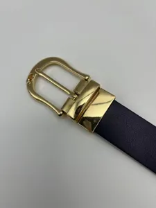 Ceinture homme décontractée avec boucle ardillon en métal doré et bande sombre détail.
