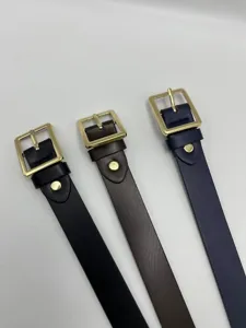 Cintura in pelle casual da donna con fibbia quadrata dorata, elegante accessorio moda.