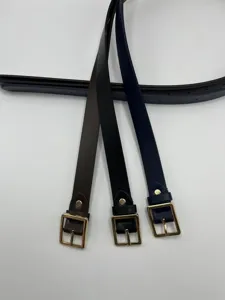 Dettaglio di tre cinture casual da donna in marrone, nero e blu scuro con fibbie dorate.