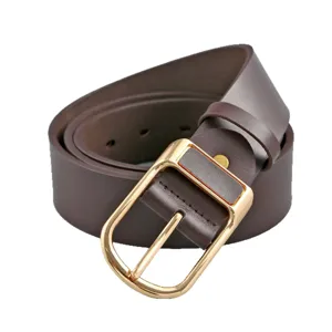 Classic brown leather belt for men with shiny gold pin buckle, elegant casual waist belt.