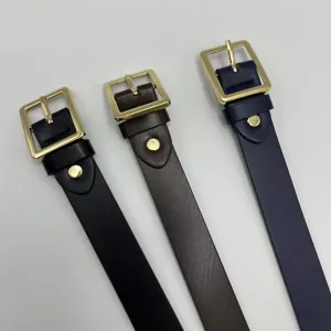 Cintura in pelle casual versatile da donna con fibbia quadrata dorata accessorio moda elegante