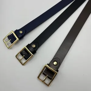Set cintura sottile in pelle TPU da donna con fibbia quadrata dorata stile casual