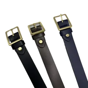 Cintura casual da donna in pelle TPU con fibbia quadrata dorata elegante per pantaloni