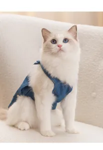 Cute denim pet overalls detail shot, soft blue fabric with contrast stitching for small cats.