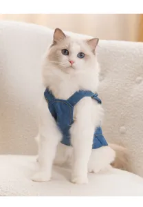 Cute cat wearing stylish blue denim overall dress, comfortable pet apparel detail shot.