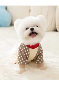 Lindo otoño invierno mascota perro cuatro patas sudadera con capucha forro polar cachorro