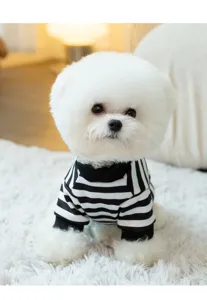 Vista detallada de un tierno cachorro con un cómodo suéter a rayas blancas y negras para mascotas.