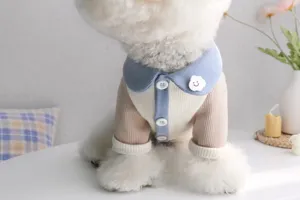 Primo piano dettagliato di una maglietta per animali con colletto blu e tessuto in maglia a costine.