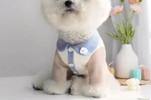 Cane animale autunno inverno intimo termico maglione carino abbigliamento cucciolo