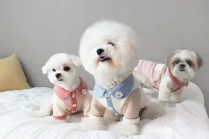 Simpatico maglione per cani da animale domestico autunno inverno piccoli vestiti cuccioli.