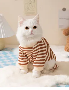 Gezellige huisdier kat vierbenige kleding herfst winter bruin wit gestreepte outfit.