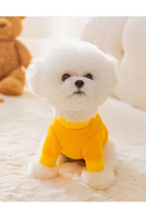 Cute pet dog yellow sweater detail shot, warm and soft plush background for small pets.