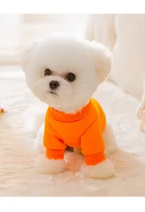 Cozy orange pet sweatshirt close-up, warm autumn winter dog apparel detail scene.