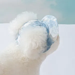Joli chapeau de soleil en denim pour animaux, casquette d'été élégante pour chiens.