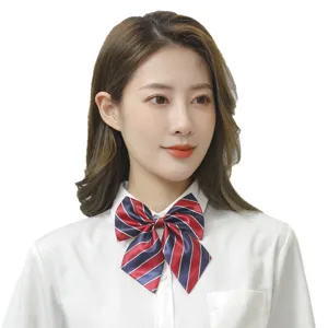 Red and blue striped school uniform bow tie, classic student neckwear accessory for kids.