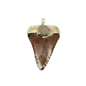 Resin shark tooth pendant DIY necklace jewelry accessory with gold plated cap and stone.
