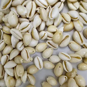 Geboorde Natuurlijke Cowrie Schelp Kralen Gouden Ring Zeeschelpen Voor DIY Sieraden Maken Ambachten Kleding Decoratieve Accessoires 500g