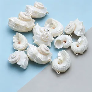 Gedetailleerde close-up van natuurlijke schelpenhangers met witte slakkenhuis en zilveren ring.
