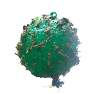 Balle gluante piege a mouches des fruits verte pour le jardin, attrape insectes efficace.