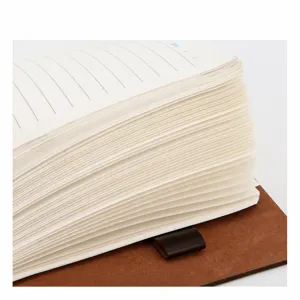 Classic loose-leaf notebook with thick beige lined paper and brown leather cover for daily journaling.