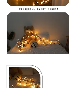 Catena luminosa LED a ramo luce calda luci da fiaba per camera da letto e decorazione festa