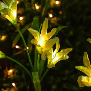 Lampes solaires de lys pour jardin exterieur etanche eclairage de pelouse LED deco chaleureuse