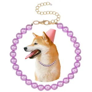 Pet pearl necklace detail showing purple faux pearls, gold extension chain, and cute dog model.