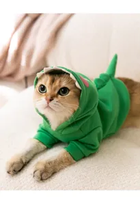 Cute green dinosaur pet hoodie detail shot, featuring soft fleece material and cute tail.